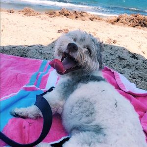 Meet your Posher, Alexa